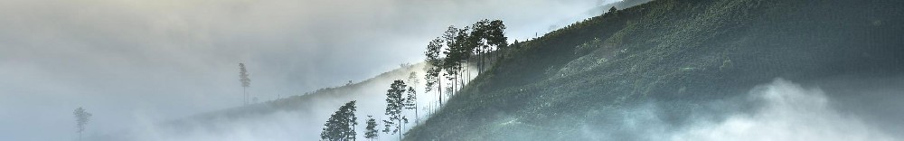 1664072073147329.jpg 1660106714282593.jpg