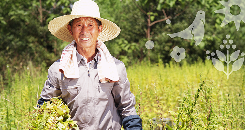 品牌形象vi設計公司是怎么進行食品品牌形象設計的？