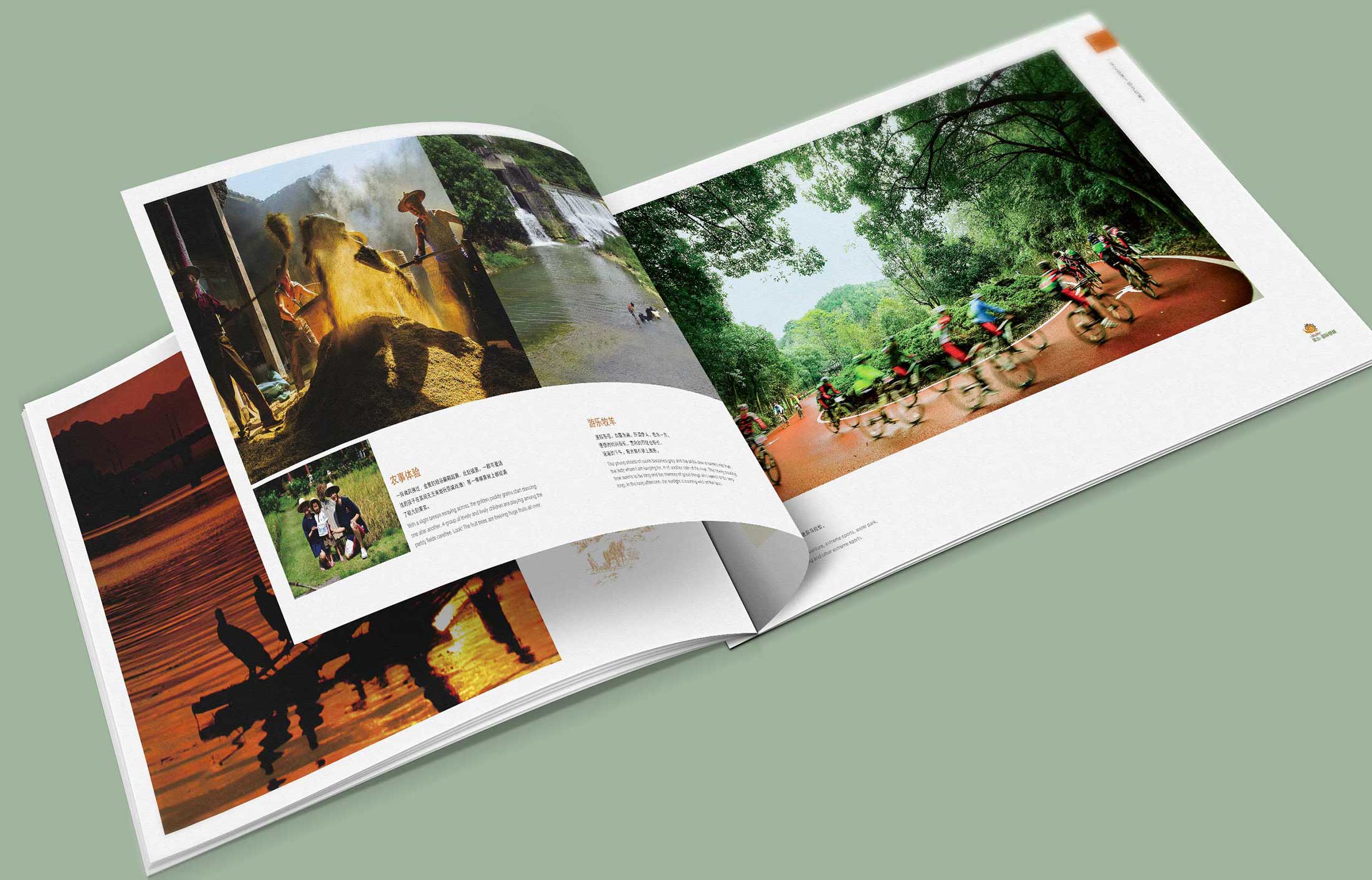 為什么這么說政府畫冊(cè)十分重要