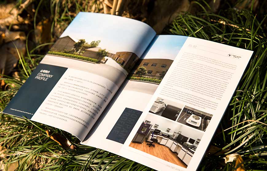 奧運&mdash;&mdash;企業的營銷平臺