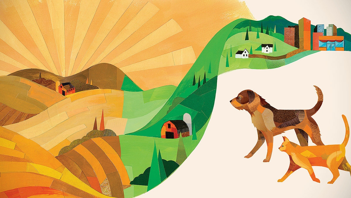 寵物食品也講究大自然，包裝設計怎敢馬虎！（寵物生活大爆炸）