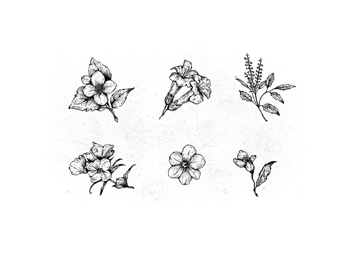 化妝品護膚產(chǎn)品包裝設計— 百分之百天然手工皂，沐浴露和洗滌液品牌包裝設計