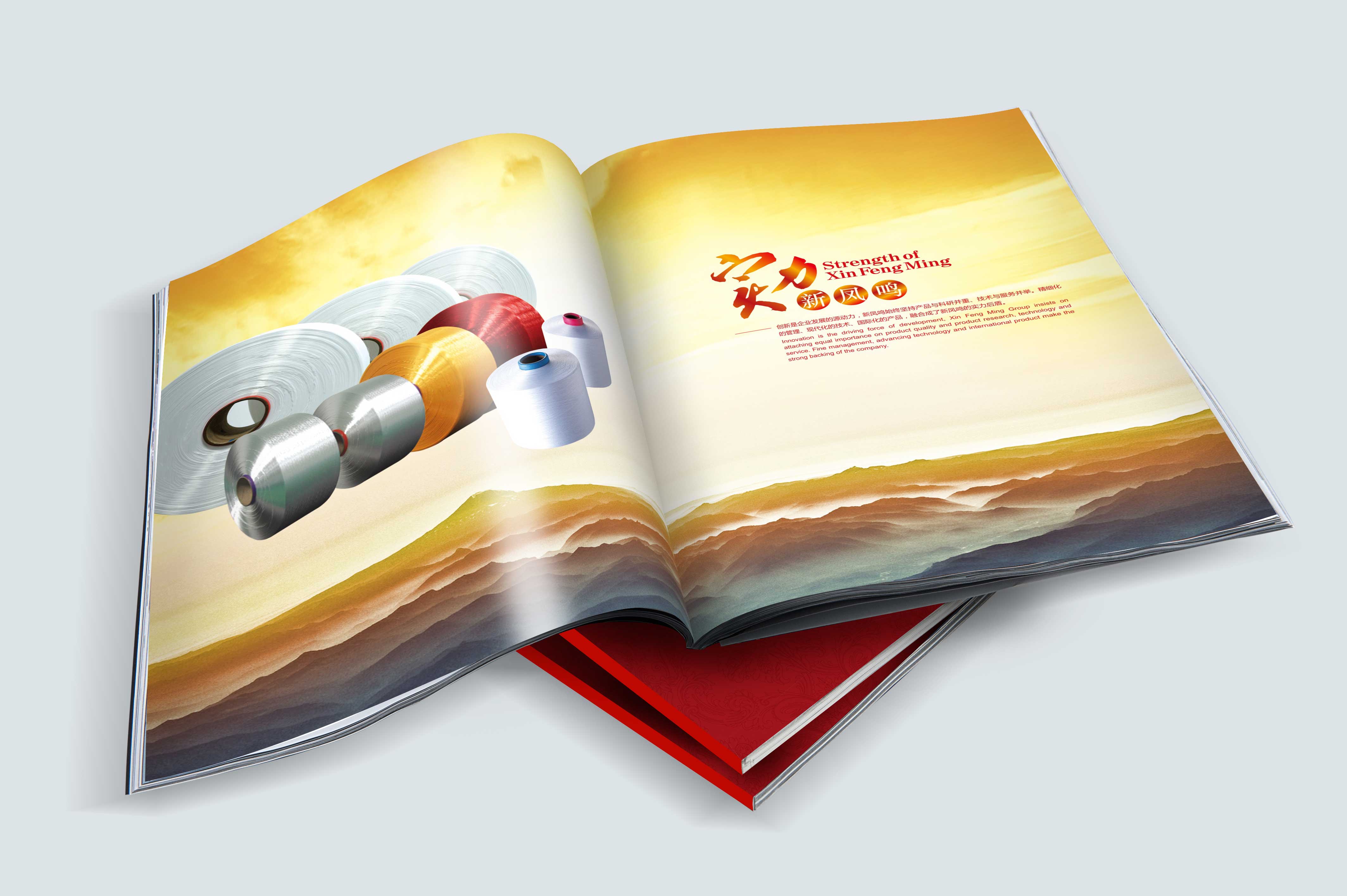 新鳳鳴集團(tuán)畫冊(cè)