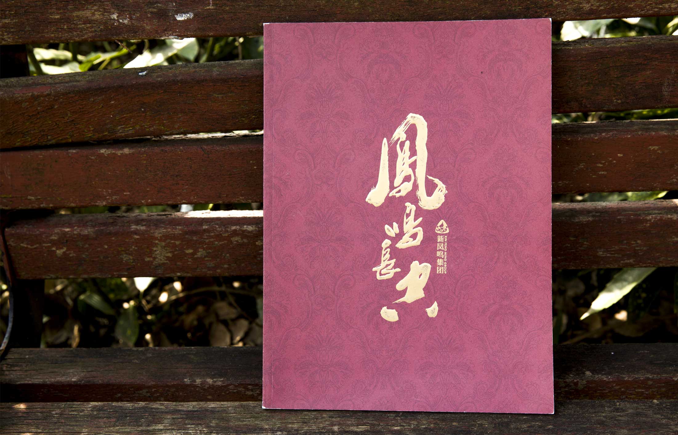 新鳳鳴集團(tuán)畫冊(cè)
