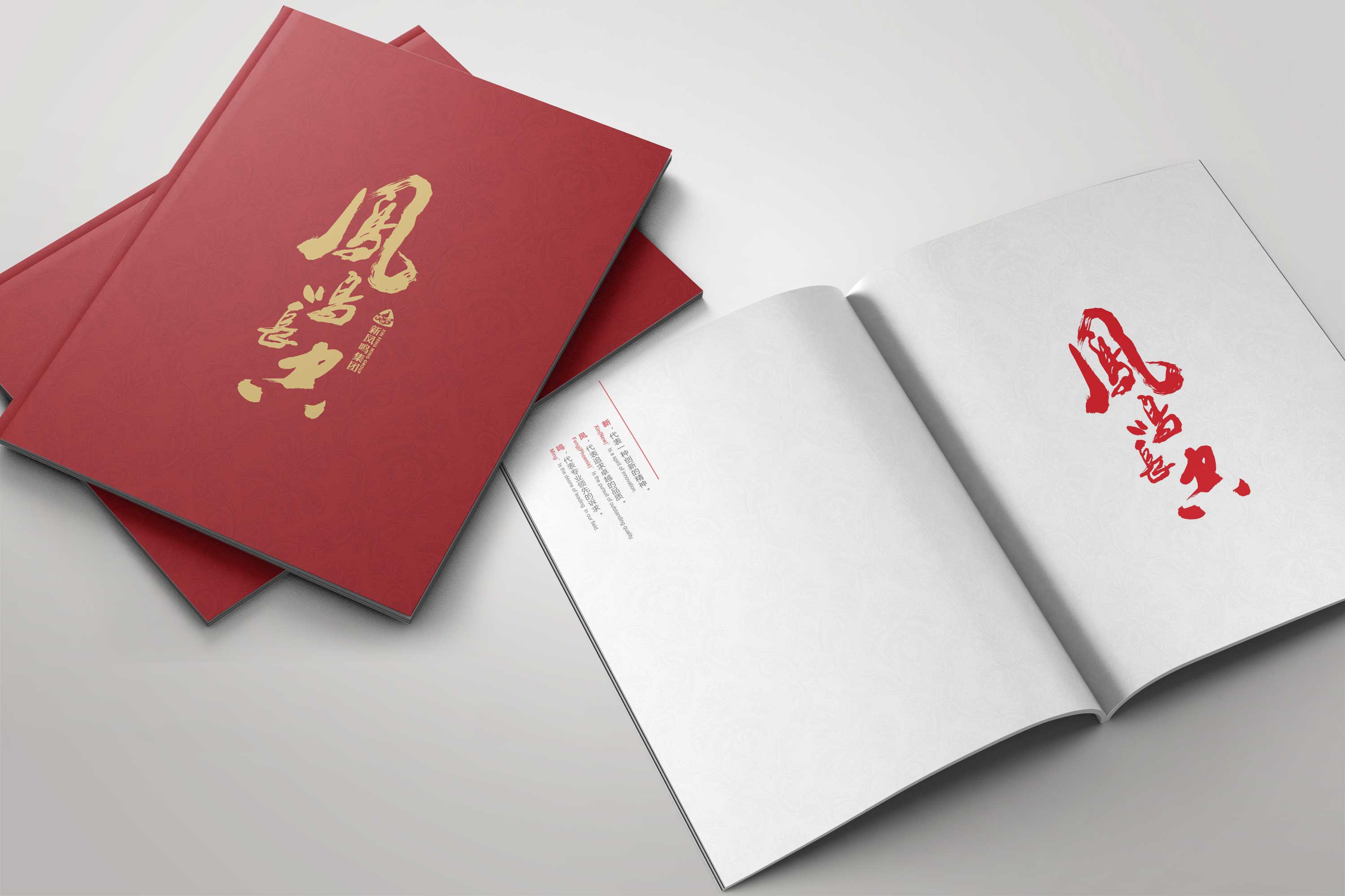 新鳳鳴集團(tuán)畫冊(cè)