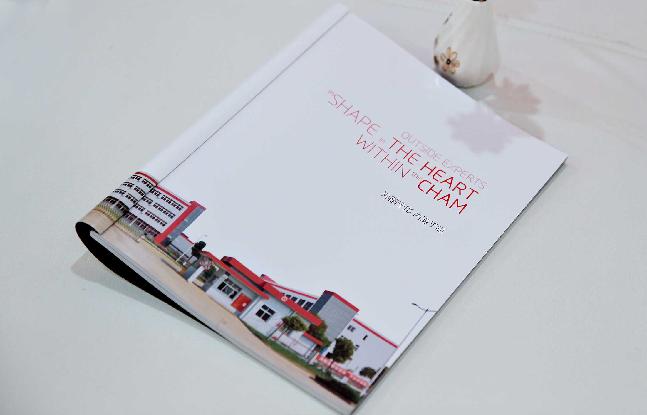 艾芬達(dá)衛(wèi)浴畫冊(cè)